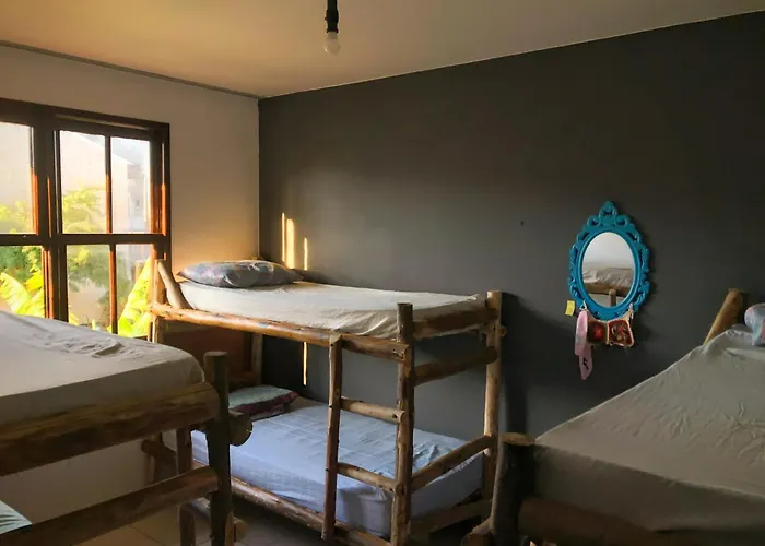 Perros hoteles Katsbarnea