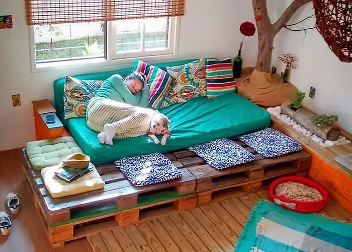 Perros hoteles Katsbarnea
